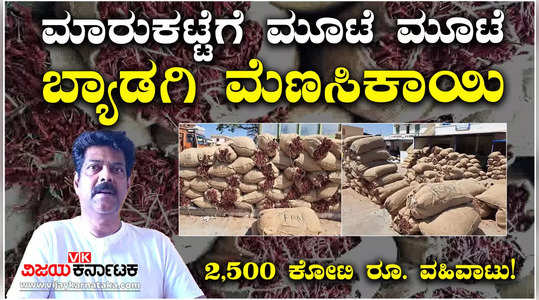 rise in byadagi chilli harvest stocks flood to haveri market lakhs of chilli bags stored for auction