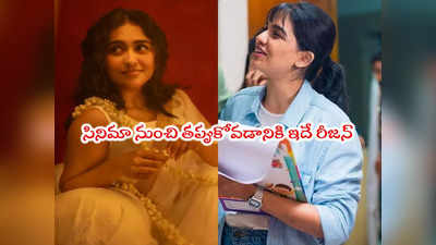 Premalu: ఆ డైరెక్టర్ నన్ను తిట్టలేదు, కొట్టలేదు.. ప్రేమలు హీరోయిన్ క్లారిటీ 