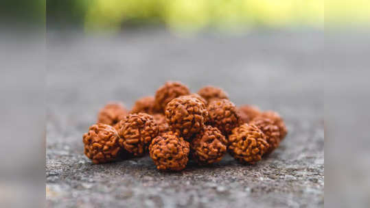 Mahashivratri Rudraksha : মহাশিবরাত্রিতে রুদ্রাক্ষ মালা পরলে মেলে শিবের আশীর্বাদ! তবে এই ৪ বিষয় মাথায় রাখা জরুরি