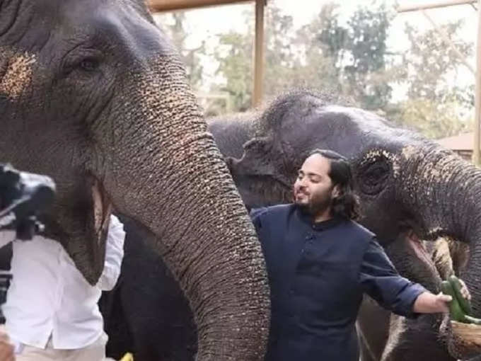 anant ambani