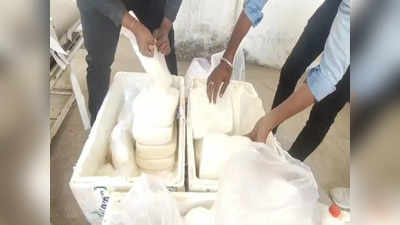 Rewa News: मछली के कंटेनर में मिला 1.5 क्विंटल मिलावटी पनीर, खाद्य विभाग की टीम ने की बड़ी कार्रवाई