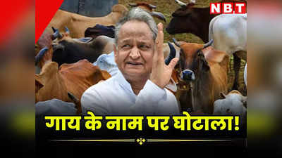 राजस्थान में गाय के नाम पर घोटाला! ना गौशाला और ना गाय फिर भी उठाया करोड़ों रुपए का अनुदान