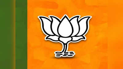 BJP Loksabha Candidate List: छत्तीसगढ़ लोकसभा चुनाव के लिए प्रत्याशियों के नाम पर लगी मुहर! इन 6 सीटों पर डिप्टी सीएम ने दिया बड़ा हिंट
