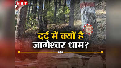 उत्तराखंड: सीने पर चाकू से गोद डाला 533... 1000 पेड़ों के लिए मौत का फरमान, रो रहा जागेश्वर