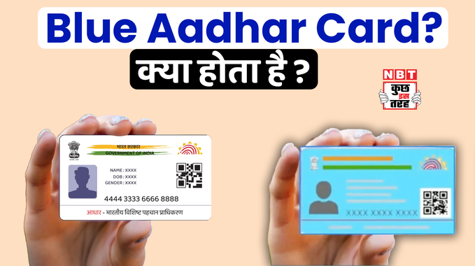 Blue Aadhaar क्या होता है, ऑनलाइन ऐसे करें अप्लाई, Watch Video