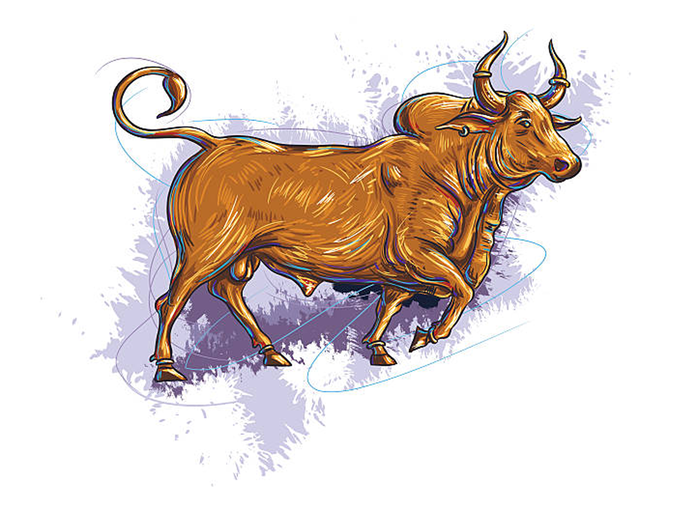 Taurus