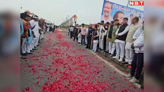 राहुल गांधी का एमपी में ग्रैंड वेलकम, सड़कों पर बिछाई गुलाब की पंखुडियां, राजघाट पुल पर कांग्रेसी दिग्गजों का जमावड़ा