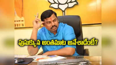 హైదరాబాద్‌లో మొగోడే దొరకలేదా..? సొంత పార్టీపై రాజాసింగ్ వివాదాస్పద వ్యాఖ్యలు..!? 