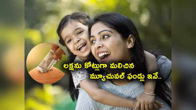 Mutual Funds: లక్షను రూ. 3.79 కోట్లు చేసిన మ్యూచువల్ ఫండ్ ఇదే.. వీటితో దాదాపు 100 రెట్లు పెరిగిన సంపద..! 