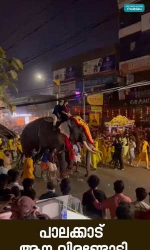 elephant ran amok in between pattambi nercha festival