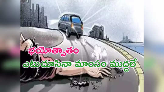 UP Accident: మహిళపై నుంచి వెళ్లిన వందల వాహనాలు.. ముక్కలు ముక్కలైన మృతదేహం 