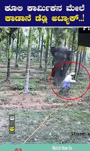 elephant attack on laborer horrific scene captured on cctv