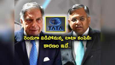 Tata Group: టాటా గ్రూప్‌లో కీలక పరిణామం.. రెండు కంపెనీలుగా విడిపోనున్న సంస్థ.. షేర్ల సంగతేంటి?