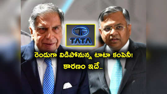 Tata Group: టాటా గ్రూప్‌లో కీలక పరిణామం.. రెండు కంపెనీలుగా విడిపోనున్న సంస్థ.. షేర్ల సంగతేంటి? 