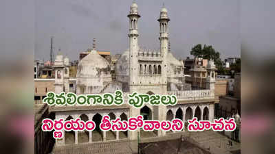 Gyanvapi Mosque: జ్ఞానవాపిలో శివలింగానికి పూజలపై 8 వారాల్లో తేల్చేయండి.. అలహాబాద్ హైకోర్టు