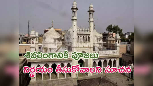 Gyanvapi Mosque: జ్ఞానవాపిలో శివలింగానికి పూజలపై 8 వారాల్లో తేల్చేయండి.. అలహాబాద్ హైకోర్టు 