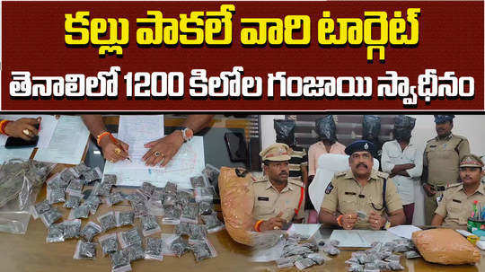 police seized ganja and four arrested in tenali
