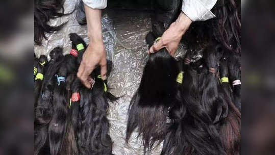 ભારતમાંથી માનવીના વાળનું ચીનમાં સ્મગલિંગઃ 12,000 કરોડનું મની લોન્ડરિંગ કૌભાંડ 