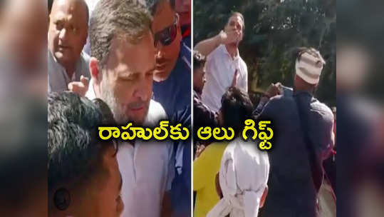 Rahul Gandhi: జై శ్రీరాం అంటూ రాహుల్ గాంధీకి ఆలుగడ్డలు గిఫ్ట్ ఇచ్చిన బీజేపీ కార్యకర్తలు.. ఎందుకో తెలుసా? 