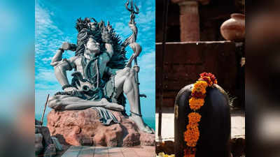 Mahashivratri 2024 Puja Vidhi: महाशिवरात्रीच्या पूजेत चुकूनही वापरू नयेत ‘या’ वस्तू; अन्यथा भोलेनाथ होतील क्रोधित