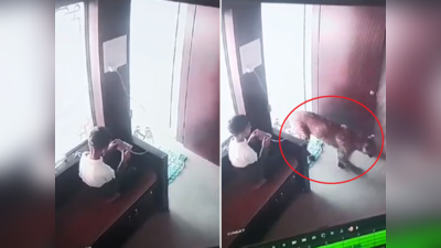 Leopard Malegaon CCTV Video : बच्चा मजे से चला रहा था मोबाइल, तभी कमरे में घुस आया तेंदुआ, आगे जो हुआ वह देखकर लोग सन्न रह गए