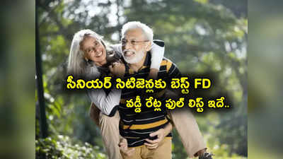 Senior Citizens FD: సీనియర్ సిటిజెన్లకు బెస్ట్ స్కీమ్స్.. 1, 3, 5 సంవత్సరాల ఎఫ్‌డీలపై ఈ బ్యాంకుల్లోనే ఎక్కువ వడ్డీ..