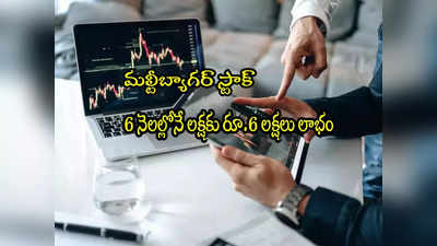 Multibagger: 6 నెలల్లో 660 శాతం లాభం.. లక్షకు రూ.6 లక్షలు.. రాకెట్‌లా దూసుకెళ్తున్న స్టాక్!