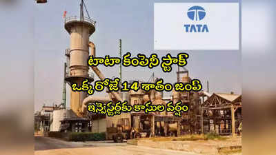 Tata Stock: ఒక్క రోజే 14శాతం పెరిగిన టాటా స్టాక్.. ఆల్ టైమ్ హైకి షేరు ధర.. ఫిచ్ రేటింగ్‌తో..!