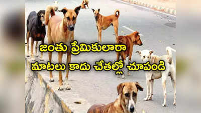 Stray Dogs: కుక్కల కంటే మనుషుల ప్రాణాలు చాలా విలువైనవి: హైకోర్టు