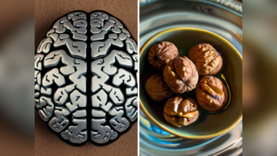 Brain Foods: दिमाग को कंट्रोल करते हैं 7 फूड, बना देंगे चुंबक, पावर बढ़ाने का देसी तरीका