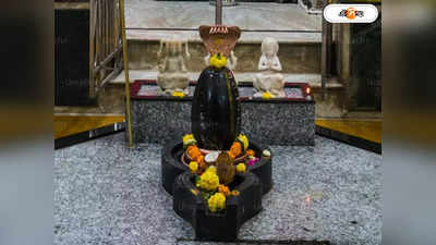 Maha Shivratri 2024: শিবরাত্রি উপলক্ষে ৫১ কুইন্টাল ঠান্ডাই বিতরণ! কোথায় মিলবে ভোলানাথের এই প্রসাদ?