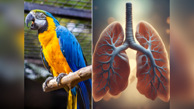 Health News: હવે Parrot Fever બેક્ટેરિયાનું જોખમ, અત્યાર સુધી 5ના મોત; આ લક્ષણોને રાખો ધ્યાનમાં- WHO 