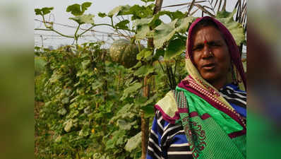 महिला दिवस: मजदूर की पत्‍नी के हौसले को सलाम, बीहड़ में सब्‍जी की खेती से बदल डाली तकदीर