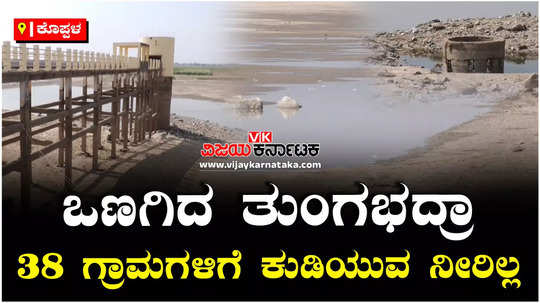 tungabhadra river dam backwaters dried up drinking water problem for 38 villages in koppal drought