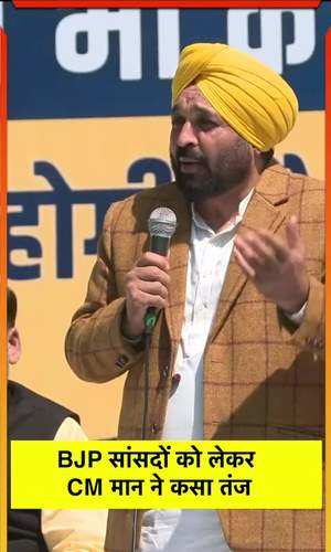 punjab cm bhagwant mann lashed out at bjp mps and said that by electing them the people of delhi have shot themselves in the foot 