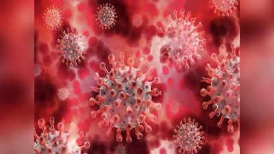 खून और टिश्यू में एक साल तक रह सकता है कोविड-19 वायरस, रिसर्च में खुलासा