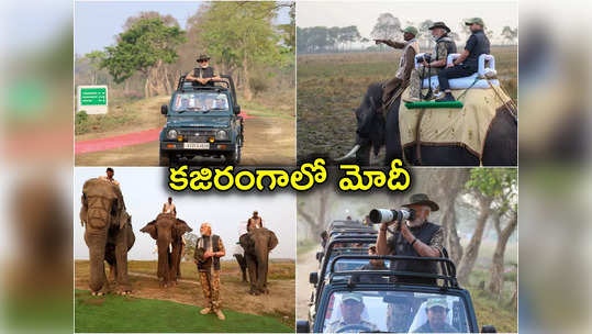 Kaziranga National Park: కజిరంగా పార్కులో ప్రధాని.. ఏను...                                         