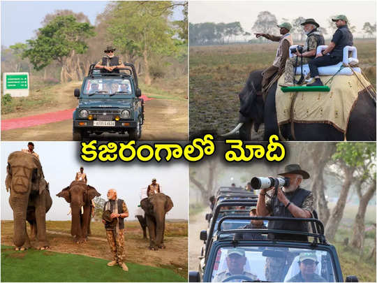 Kaziranga National Park: కజిరంగా పార్కులో ప్రధాని.. ఏనుగు ఎక్కి విహరించిన మోదీ.. ఫోటోలు వైరల్ 