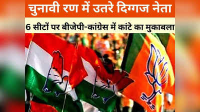 Chhattisgarh: इन 6 सीटों पर बीजेपी-कांग्रेस में कांटे की टक्कर, दो महिलाओं के बीच रोचक मुकाबला; चुनावी मैदान में पूर्व सीएम भी हैं