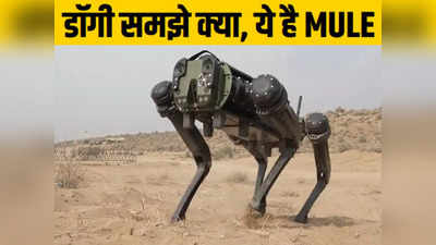 पोकरण युद्धाभ्यास में दिखेगा इंडियन आर्मी के रोबोट डॉग MULE का एक्शन, जानें इसकी खूबियां