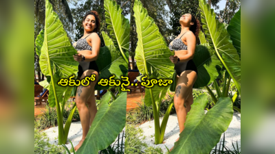 Pooja Ramachandran: ఆకుల చాటున భారీ అందాలు.. ప్రకృతి ఒడిలో వికసించిన పూజా ఫొటోలు 