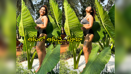 Pooja Ramachandran: ఆకుల చాటున భారీ అందాలు.. ప్రకృతి ఒడిలో వికసించిన పూజా ఫొటోలు 