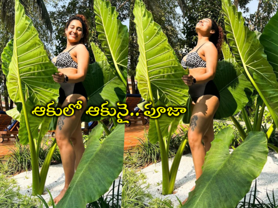 Pooja Ramachandran: ఆకుల చాటున భారీ అందాలు.. ప్రకృతి ఒడిలో వికసించిన పూజా ఫొటోలు