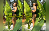 Pooja Ramachandran: ఆకుల చాటున భారీ అందాలు.. ప్రకృతి ఒడిలో వికసించిన పూజా ఫొటోలు