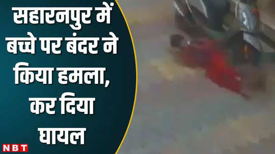 saharanpur monkey attack cctv footage came know detail watch video