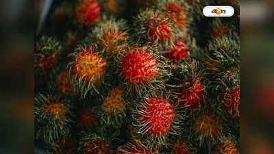 Rambutan Fruit : রামবুটান চাষে ফিরতে পারে ভাগ্য