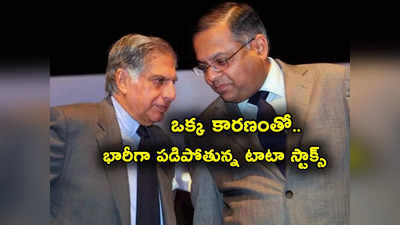 Tata Sons: వరుసగా అప్పర్‌సర్క్యూట్లు కొట్టి ఒక్కసారిగా పతనమైన టాటా షేర్లు.. ఒక్క కారణంతోనే..!