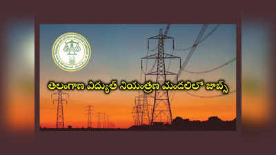 TSERC Notification 2024: తెలంగాణ విద్యుత్‌ నియంత్రణ మండలిలో ఉద్యోగాలు.. నోటిఫికేషన్‌ విడుదల