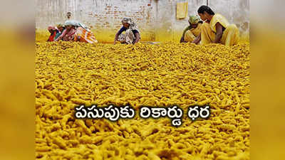 Turmeric Price: అత్యధిక ధర పలికిన పసుపు.. రాష్ట్రంలోనే ఆల్‌టైం రికార్డు, క్వింటాల్ ఎంతంటే..? 