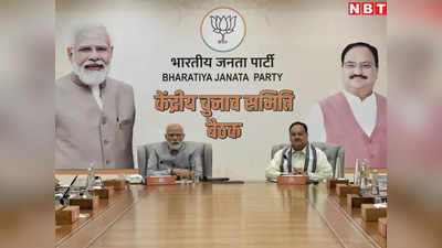 BJP के लिए टेंशन बनी MP की 5 लोकसभा सीटें, उम्मीदवारों की घोषणा से पहले तेज हुए बगावत के सुर